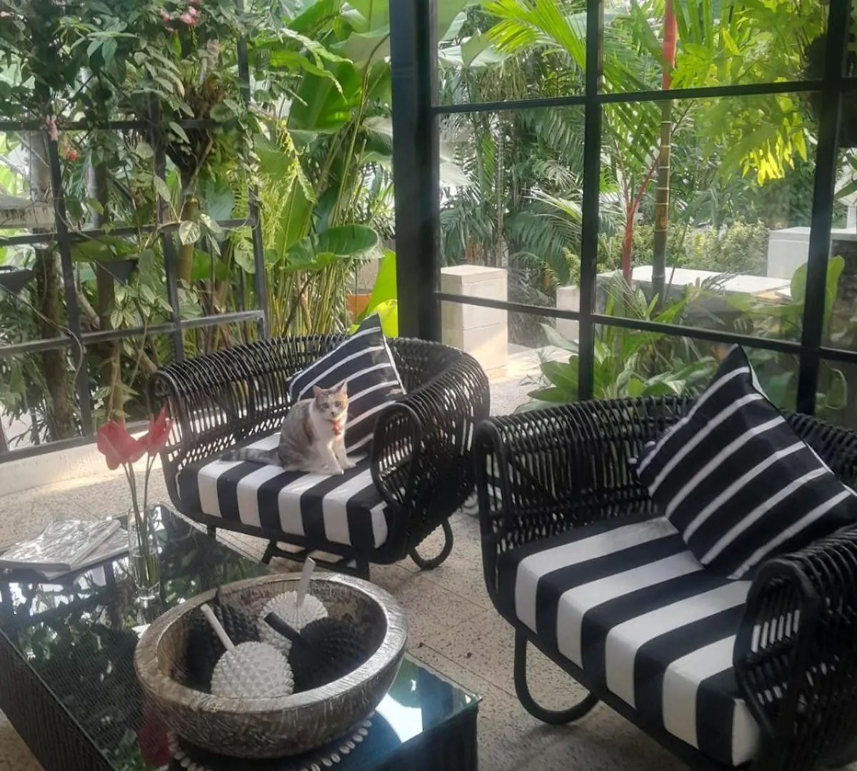 Hotel Martini Suite And Villa Kerobokan